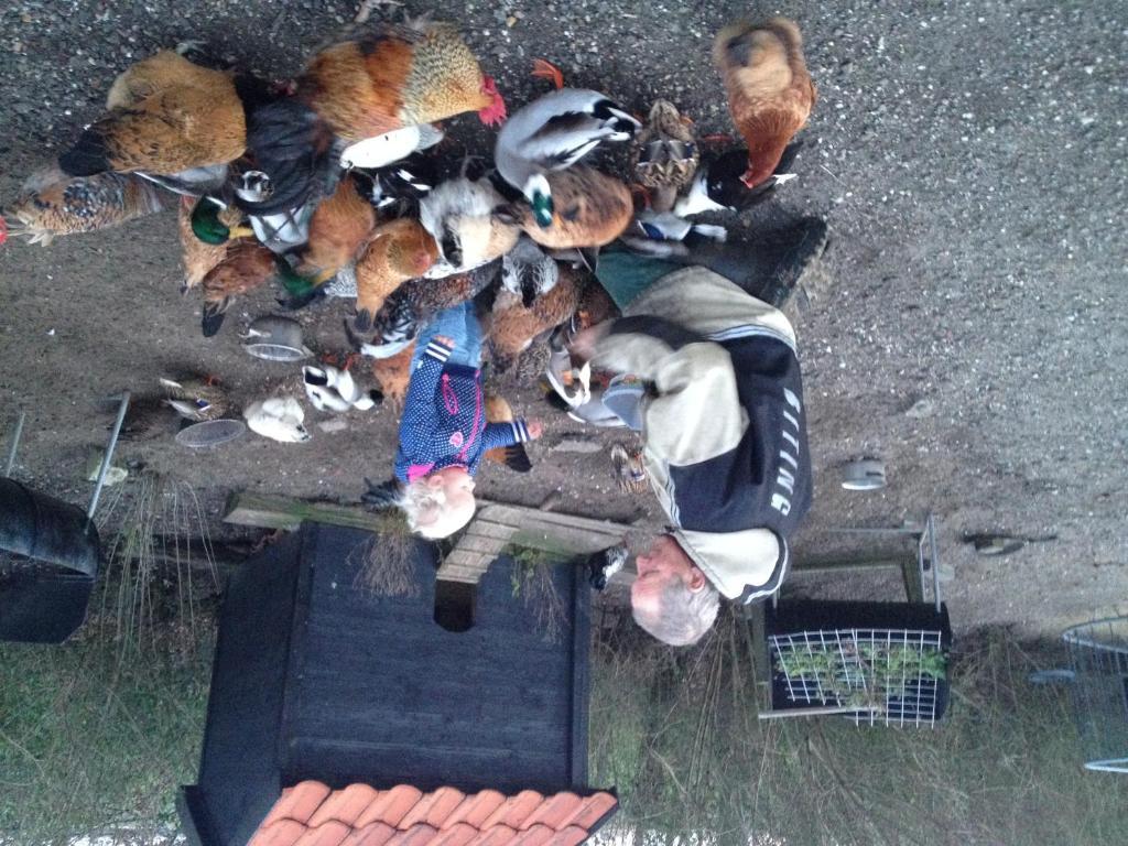Farm Overleekerhoeve Monnickendam Bagian luar foto